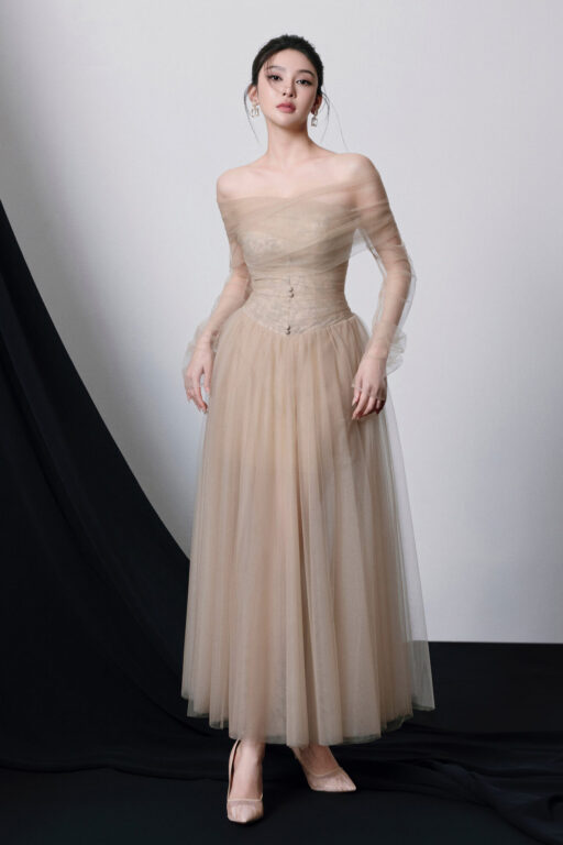 Delphi Off Shoulder Mesh Lace Maxi Dress